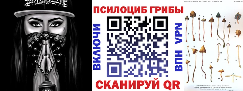 Псилоцибиновые грибы GOLDEN TEACHER  Бийск 